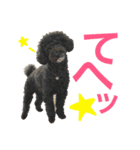 はるくんスタンプ！！（個別スタンプ：15）