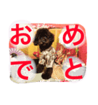 はるくんスタンプ！！（個別スタンプ：16）