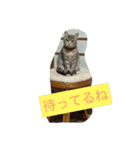 もちづきさん家のワンニャンスタンプ（個別スタンプ：10）
