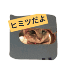 もちづきさん家のワンニャンスタンプ（個別スタンプ：11）