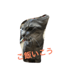 もちづきさん家のワンニャンスタンプ（個別スタンプ：16）