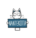 Mr. NANTEKOTTA（個別スタンプ：1）