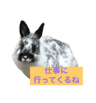 うさぎのめめちゃん（個別スタンプ：2）