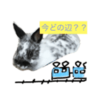 うさぎのめめちゃん（個別スタンプ：3）