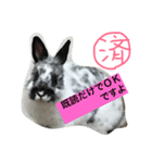 うさぎのめめちゃん（個別スタンプ：7）