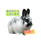 うさぎのめめちゃん（個別スタンプ：10）