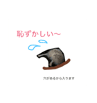 ハリネズミのコロ助。（個別スタンプ：24）