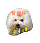 あさひ ふぁみりー（個別スタンプ：6）
