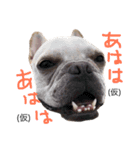 俺ワールドっす（個別スタンプ：8）