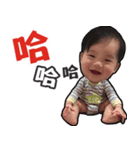 Willis（個別スタンプ：1）