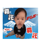 Willis（個別スタンプ：16）
