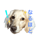 ターボ尽くしの毎日（個別スタンプ：5）