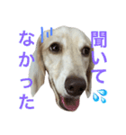 ターボ尽くしの毎日（個別スタンプ：6）