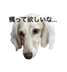 ターボ尽くしの毎日（個別スタンプ：8）