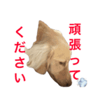 ターボ尽くしの毎日（個別スタンプ：13）