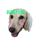 ターボ尽くしの毎日（個別スタンプ：14）
