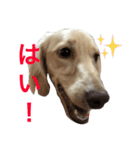 ターボ尽くしの毎日（個別スタンプ：19）