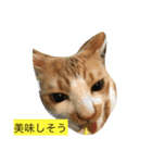 ビックリです（個別スタンプ：2）
