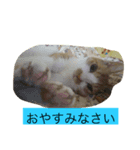 ビックリです（個別スタンプ：3）