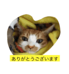 ビックリです（個別スタンプ：4）