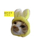 ビックリです（個別スタンプ：8）