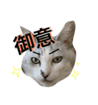 るいごて（個別スタンプ：1）