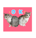 るいごて（個別スタンプ：4）