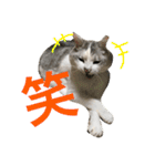 るいごて（個別スタンプ：7）