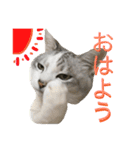 るいごて（個別スタンプ：8）