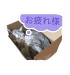 るいごて（個別スタンプ：14）