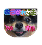 いぶたんいろいろ（個別スタンプ：13）