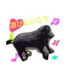 Dog.jh（個別スタンプ：12）