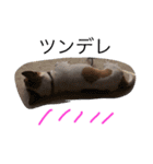 Dog.jh（個別スタンプ：15）