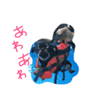 くーさま すたんぷ（個別スタンプ：20）