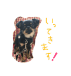 くーさま すたんぷ（個別スタンプ：25）
