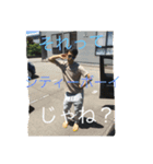 なんやて？（個別スタンプ：5）