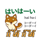 犬の日常会話 日本語タイ語（個別スタンプ：20）