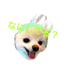 まりあとおしゃべりしよっ！（個別スタンプ：3）