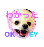 まりあとおしゃべりしよっ！（個別スタンプ：4）