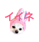 まりあとおしゃべりしよっ！（個別スタンプ：6）