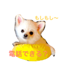 まりあとおしゃべりしよっ！（個別スタンプ：8）