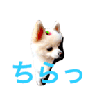 まりあとおしゃべりしよっ！（個別スタンプ：10）
