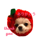 まりあとおしゃべりしよっ！（個別スタンプ：14）