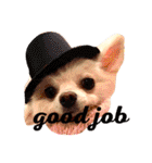 まりあとおしゃべりしよっ！（個別スタンプ：16）