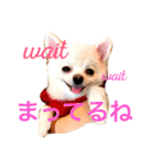 まりあとおしゃべりしよっ！（個別スタンプ：17）