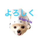 まりあとおしゃべりしよっ！（個別スタンプ：18）
