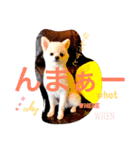 まりあとおしゃべりしよっ！（個別スタンプ：19）