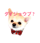 まりあとおしゃべりしよっ！（個別スタンプ：20）