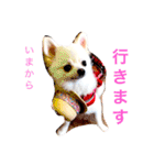 まりあとおしゃべりしよっ！（個別スタンプ：22）