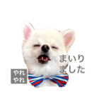 まりあとおしゃべりしよっ！（個別スタンプ：23）